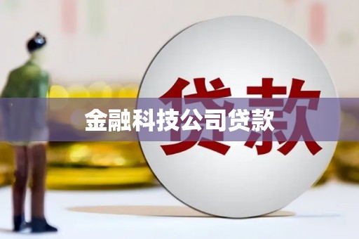 泉山金融科技公司贷款