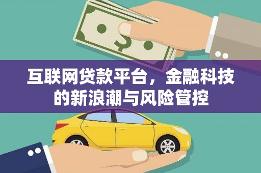 泉山互联网贷款平台，金融科技的新浪潮与风险管控