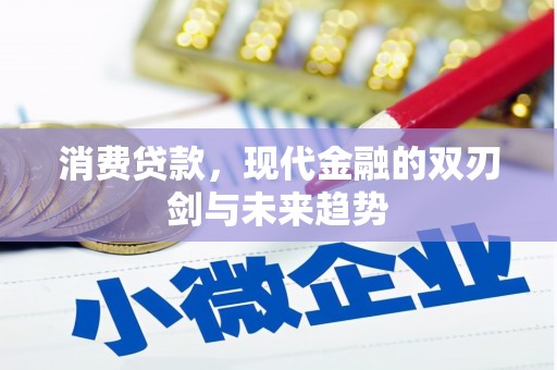 泉山消费贷款，现代金融的双刃剑与未来趋势