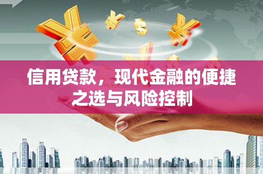 泉山信用贷款，现代金融的便捷之选与风险控制