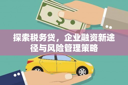 泉山探索税务贷，企业融资新途径与风险管理策略