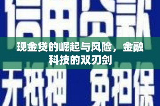 泉山现金贷的崛起与风险，金融科技的双刃剑
