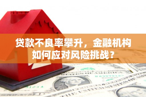 泉山贷款不良率攀升，金融机构如何应对风险挑战？