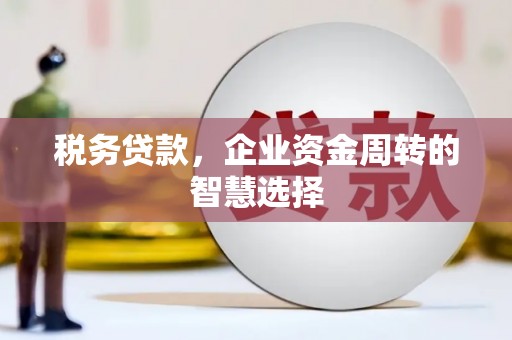 泉山税务贷款，企业资金周转的智慧选择
