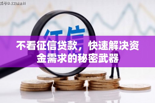 泉山不看征信贷款，快速解决资金需求的秘密武器