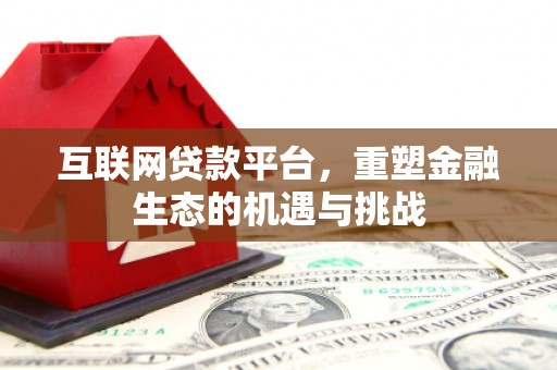 泉山互联网贷款平台，重塑金融生态的机遇与挑战
