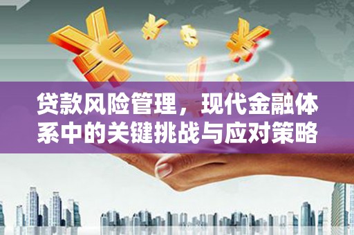 泉山贷款风险管理，现代金融体系中的关键挑战与应对策略