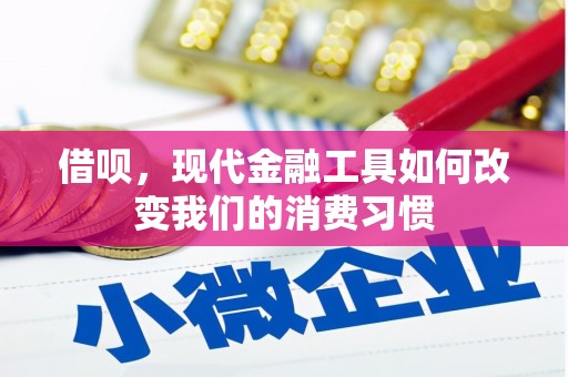 泉山借呗，现代金融工具如何改变我们的消费习惯