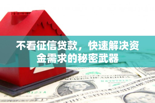 泉山不看征信贷款，快速解决资金需求的秘密武器