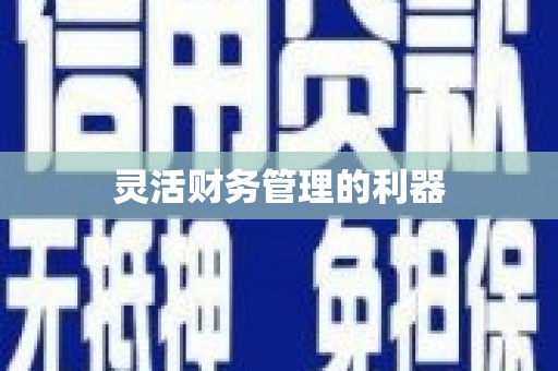 泉山灵活财务管理的利器