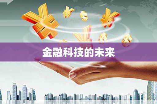 泉山金融科技的未来