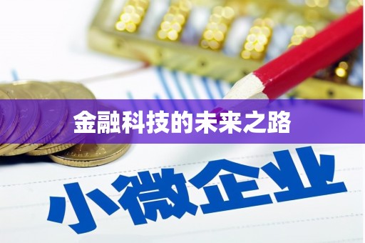 泉山金融科技的未来之路