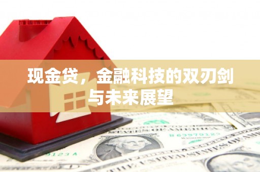 泉山现金贷，金融科技的双刃剑与未来展望