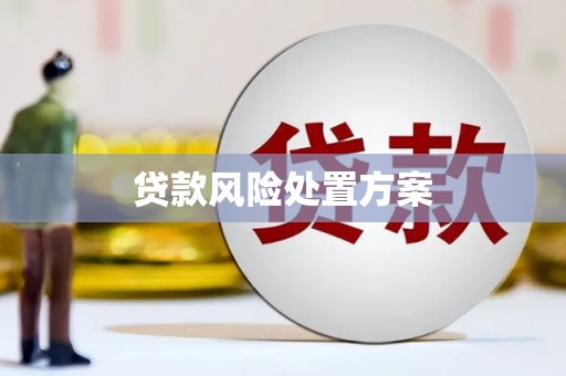 泉山贷款风险处置方案