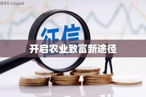 泉山开启农业致富新途径