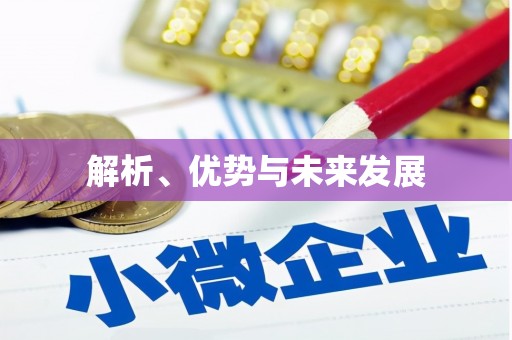 泉山解析、优势与未来发展