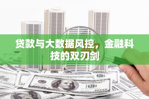 泉山贷款与大数据风控，金融科技的双刃剑