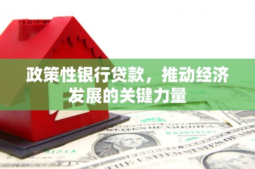 泉山政策性银行贷款，推动经济发展的关键力量