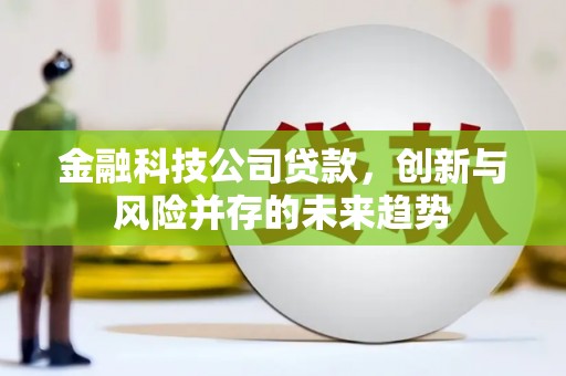 泉山金融科技公司贷款，创新与风险并存的未来趋势