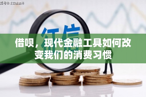 泉山借呗，现代金融工具如何改变我们的消费习惯