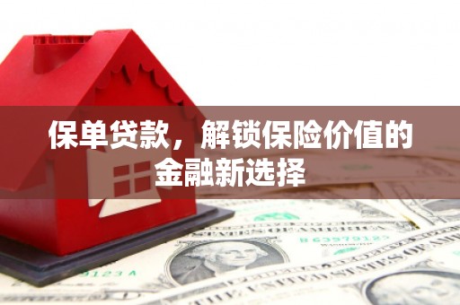 泉山保单贷款，解锁保险价值的金融新选择