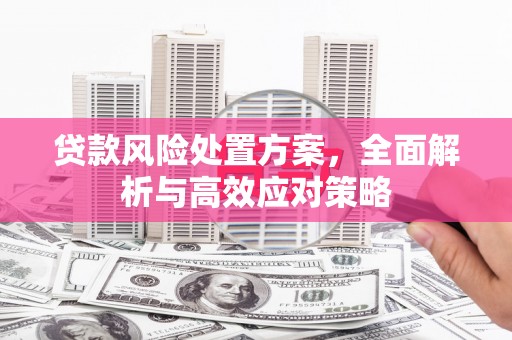 泉山贷款风险处置方案，全面解析与高效应对策略