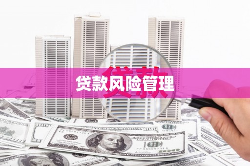 泉山贷款风险管理