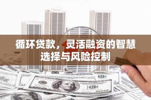 泉山循环贷款，灵活融资的智慧选择与风险控制