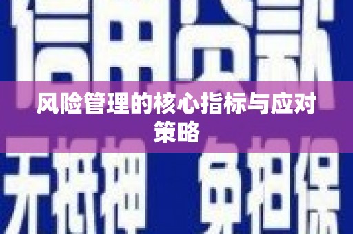 泉山风险管理的核心指标与应对策略