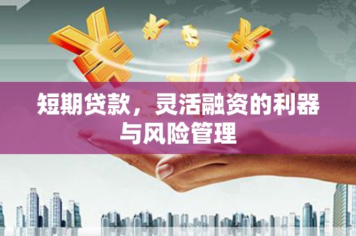 泉山短期贷款，灵活融资的利器与风险管理