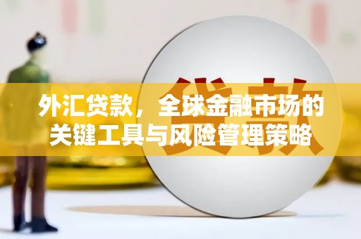 泉山外汇贷款，全球金融市场的关键工具与风险管理策略