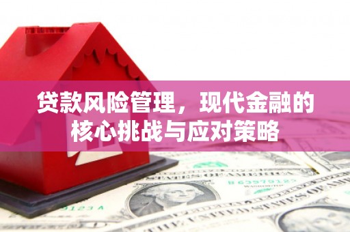 泉山贷款风险管理，现代金融的核心挑战与应对策略