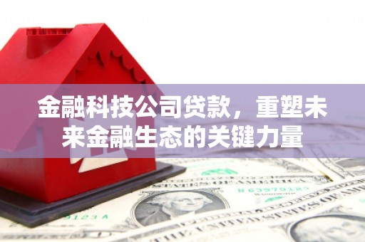 泉山金融科技公司贷款，重塑未来金融生态的关键力量