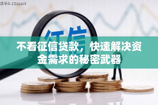 泉山不看征信贷款，快速解决资金需求的秘密武器