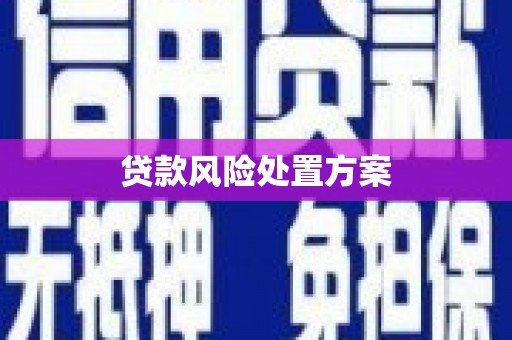 泉山贷款风险处置方案