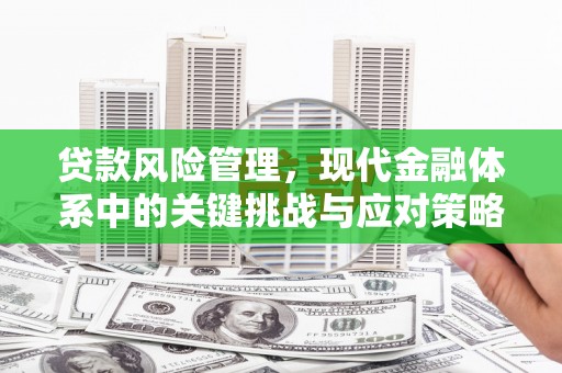 泉山贷款风险管理，现代金融体系中的关键挑战与应对策略