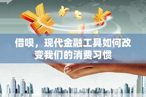 泉山借呗，现代金融工具如何改变我们的消费习惯
