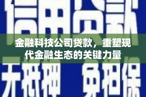 泉山金融科技公司贷款，重塑现代金融生态的关键力量