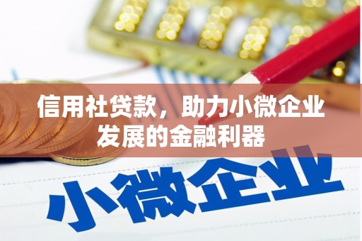 泉山信用社贷款，助力小微企业发展的金融利器