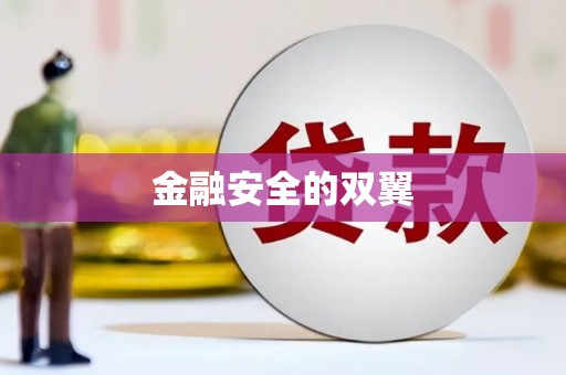泉山金融安全的双翼