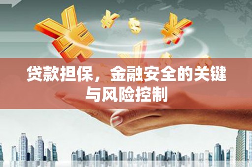 泉山贷款担保，金融安全的关键与风险控制