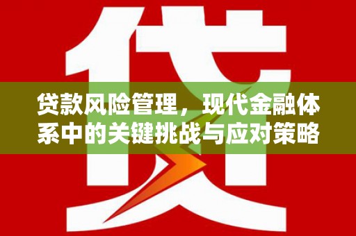 泉山贷款风险管理，现代金融体系中的关键挑战与应对策略