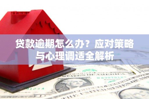 泉山贷款逾期怎么办？应对策略与心理调适全解析