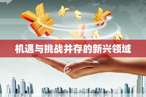 泉山机遇与挑战并存的新兴领域