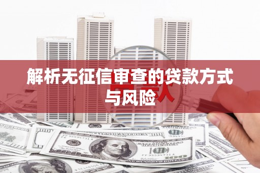 泉山解析无征信审查的贷款方式与风险