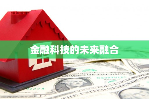 泉山金融科技的未来融合