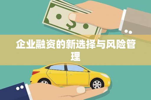 泉山企业融资的新选择与风险管理