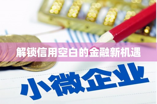 泉山解锁信用空白的金融新机遇