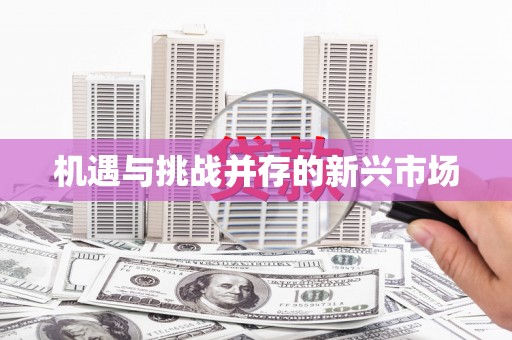 泉山机遇与挑战并存的新兴市场