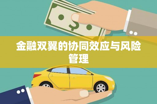 泉山金融双翼的协同效应与风险管理